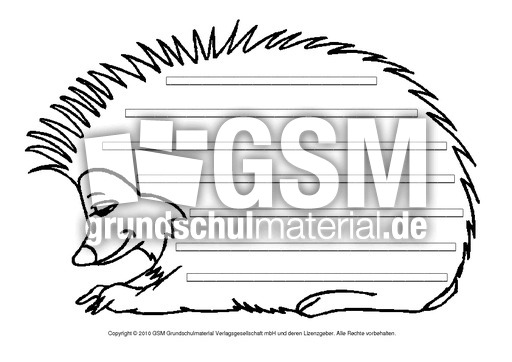 Igel-mit-Lineatur.pdf